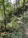IMG_5868.jpeg