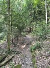 IMG_5869.jpeg