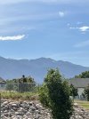 IMG_3952.jpeg