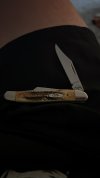 IMG_3351.jpeg
