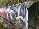 20220911_144854.jpg 20220911_144854.jpg