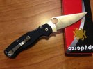 PM2 2.jpg