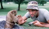 caddyshack-560-gopher.jpg