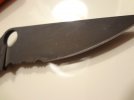 DSC00799.JPG