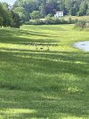 IMG_5873.jpeg