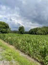 IMG_5876.jpeg