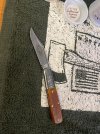 IMG_6601.jpeg