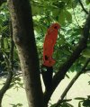 IMG_1953.jpeg