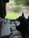 IMG_7562.jpeg