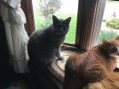 IMG_3291.jpeg
