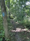 IMG_5879.jpeg