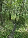 IMG_5880.jpeg
