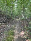 IMG_5891.jpeg