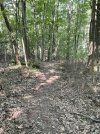 IMG_5892.jpeg