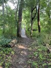 IMG_5899.jpeg