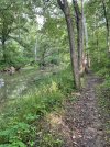 IMG_5900.jpeg