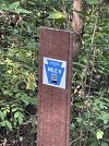 IMG_5914.jpeg