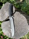 IMG_0813.jpeg