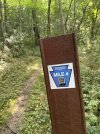 IMG_5923.jpeg