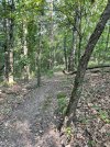 IMG_5915.jpeg