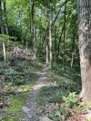 IMG_5917.jpeg
