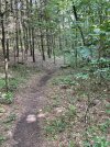 IMG_5919.jpeg