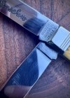 IMG_7271.jpeg