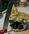 blueberrymuff.near.jpeg