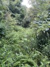 IMG_5913.jpeg