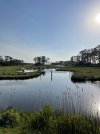 B090055B-3675-4421-94C2-5AEDAB87B926.jpeg