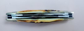 20230727_184306.jpg