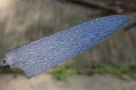 Feather is AWESOME! 027 (800x533) (800x533).jpg
