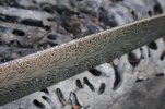 Feather is AWESOME! 012 (800x533) (800x533).jpg