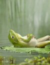 chillin.jpg
