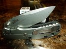 ZT 0551 (3) (Large).jpg