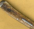 Marrow Jack 2.jpg