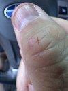 IMG_9098.jpeg