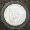 312.Silver.Buck.1993.121911 007.JPG
