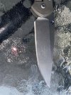 IMG_1446.jpeg