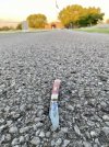 IMG_8464.jpeg
