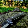 Heartwood6.jpg Heartwood6.jpg