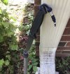 IMG_5740.jpeg