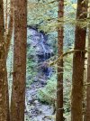 IMG_1004.jpeg