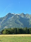 IMG_1003.jpeg