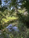 IMG_5947.jpeg