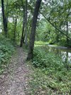 IMG_5956.jpeg