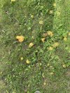 IMG_1314.jpeg