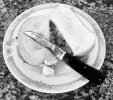 IMG_3293.jpeg