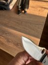 IMG_3147.jpeg IMG_3147.jpeg