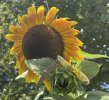 IMG_3311.jpeg